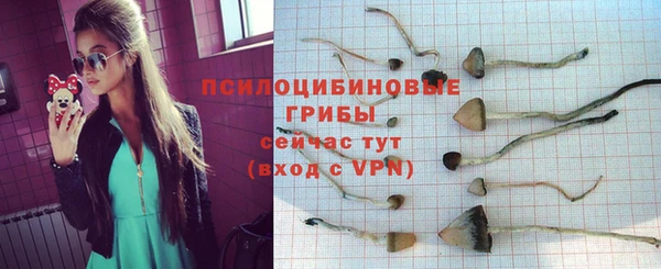 а пвп мука Арсеньев