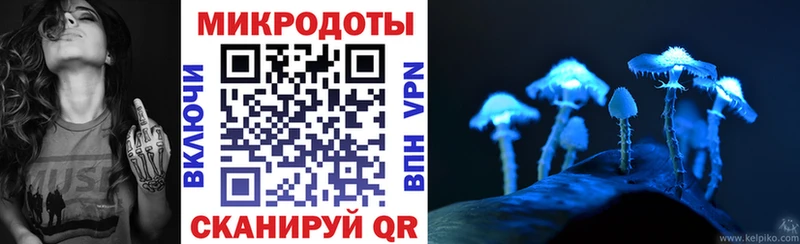 маркетплейс клад  МЕГА сайт  Медногорск  Псилоцибиновые грибы мицелий 
