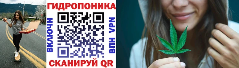 Канабис SATIVA & INDICA где купить Медногорск